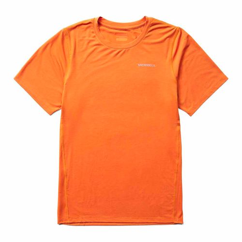 Remera para HOMBRE TENCEL TEE (800) SIENNA